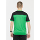 Футболка Чоловіча FZ Forza Alberti Perfect Green Зображення