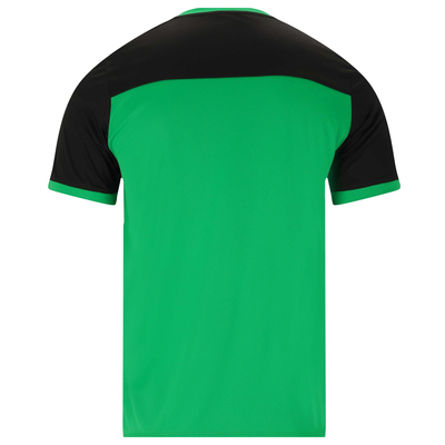 Футболка Чоловіча FZ Forza Alberti Perfect Green Зображення