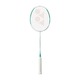 Badminton Set Yonex Family Зображення