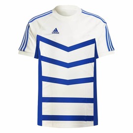 Футболка чоловіча Adidas DW6754 White Зображення