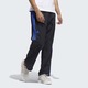 Штаны мужские Adidas X29428 MT Team Black/Blue Изображение