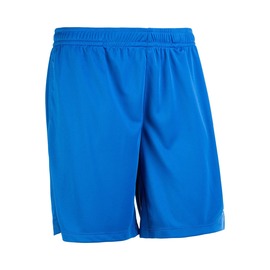 Шорти чоловічі FZ Forza Landers Olympian Blue Зображення